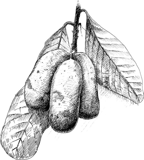 ../images/464548_1_En_14_Chapter/464548_1_En_14_Fig1_HTML.jpg